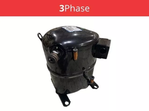0.5 Ton Single-Stage Refrigeration Reciprocating Compressor 460/60/3 R