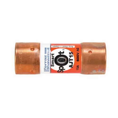 ABB AJT15 Time-Delay Fuse, 15A 600V Class J
