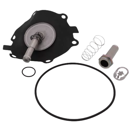 ASCO 302-353 Rebuild Kit