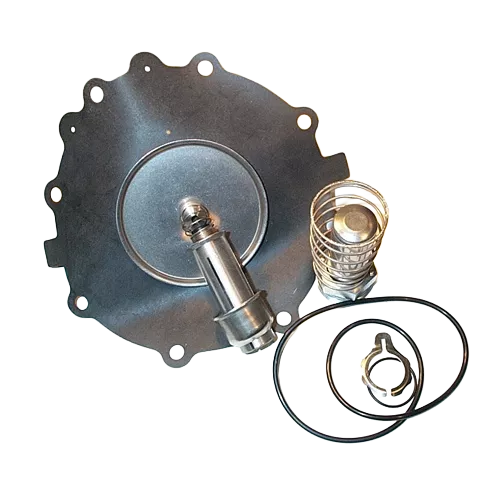 ASCO 302-354 Rebuild Kit