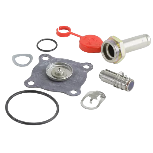ASCO 302-373 Rebuild Kit