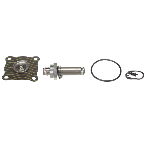 ASCO 302-376 Rebuild Kit