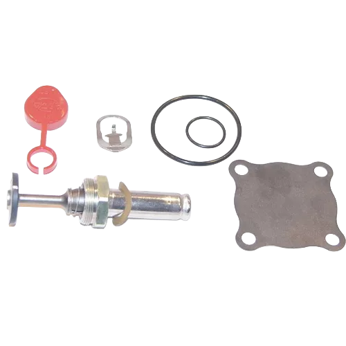 ASCO 302-379 Rebuild Kit