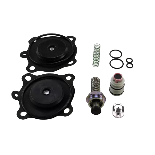ASCO 302-661 Rebuild Kit
