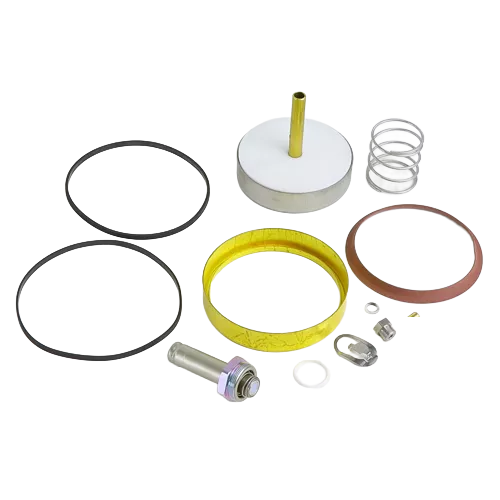 ASCO 306-807 Rebuild Kit