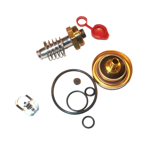 ASCO 310-388 Rebuild Kit