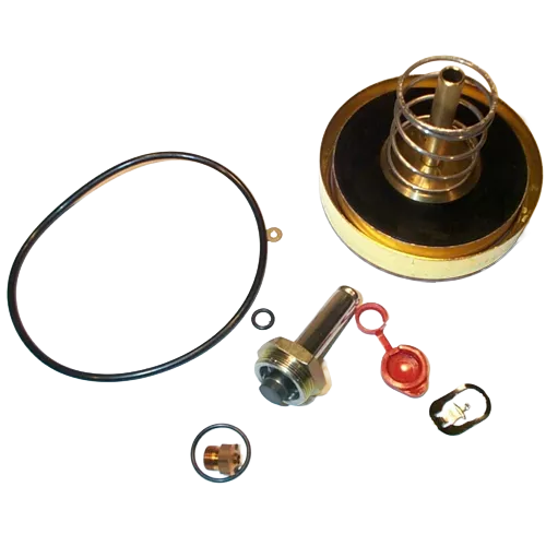 ASCO 310-422 Rebuild Kit