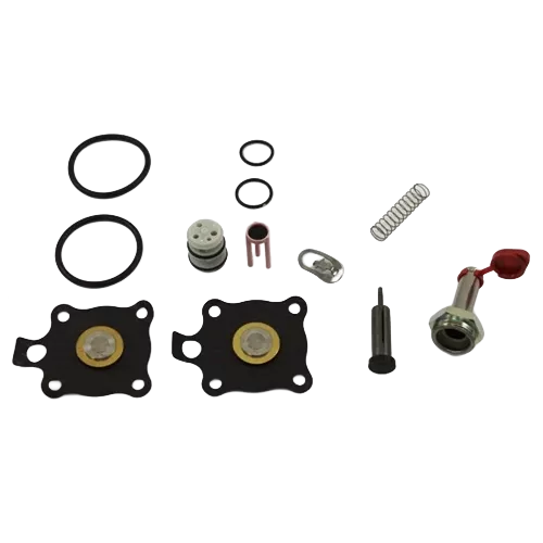 ASCO 314-491 Rebuild Kit