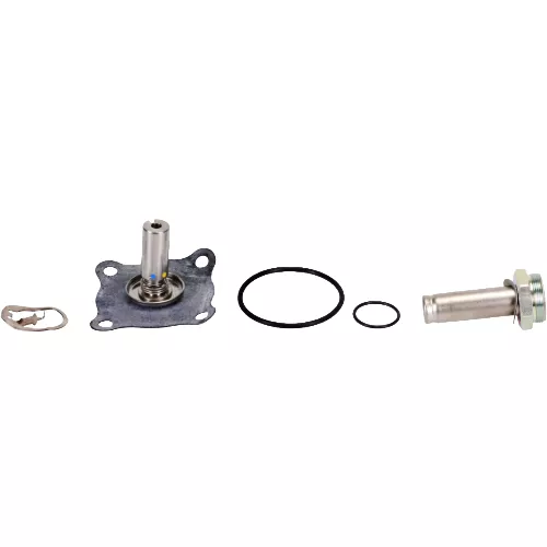 ASCO 318-173 Rebuild Kit