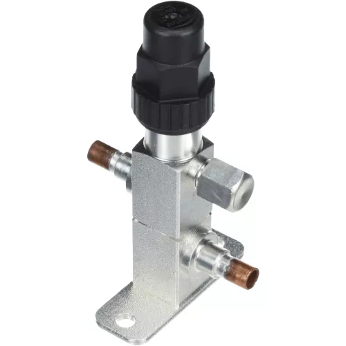 C&D Valves RL-CLV-14 Capped Line Valve with Access Fitting