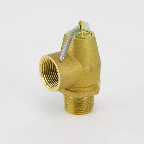Conbraco Industries 13-202-B08 1" MNPT x 1" FNPT 8 PSI Steam Pressure Relief Valve
