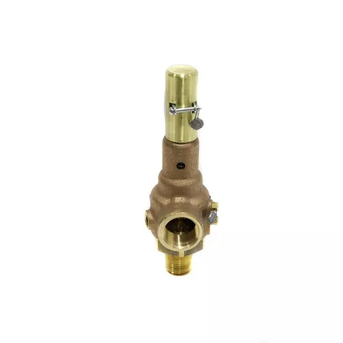 Conbraco Industries 19-KDCA-100 Section I Steam Pressure Relief Valve, 100 PSI