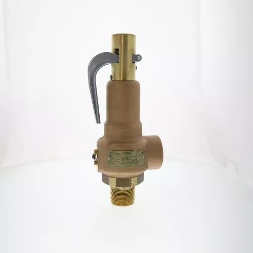 Conbraco Industries 19-KGFA-100 Section I Steam Pressure Relief Valve, 100 PSI