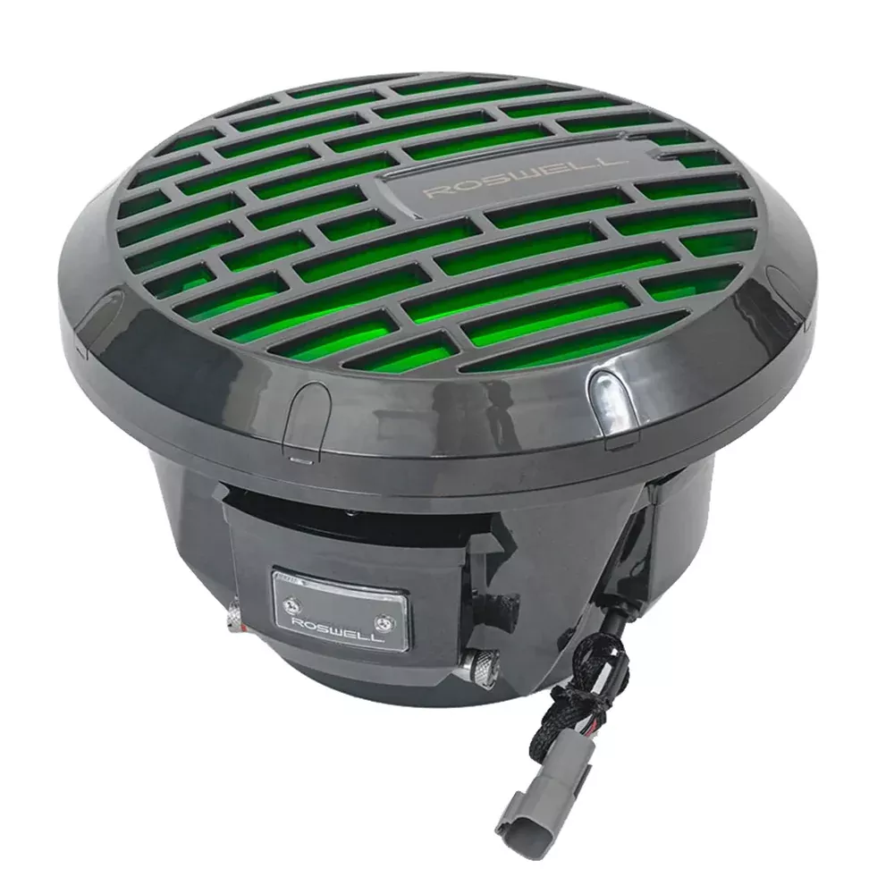Roswell RMA 10" Subwoofer - Black - 250W RMS 500W Peak Power [C920-180