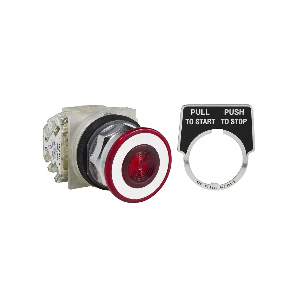 Square D 9001KR9RH2 30 mm 10 Amp 600 Volt Push Button